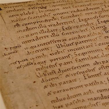 A close-up photograph of parchment with Anglo-Saxon writing on. The parchment is a light orange/brown